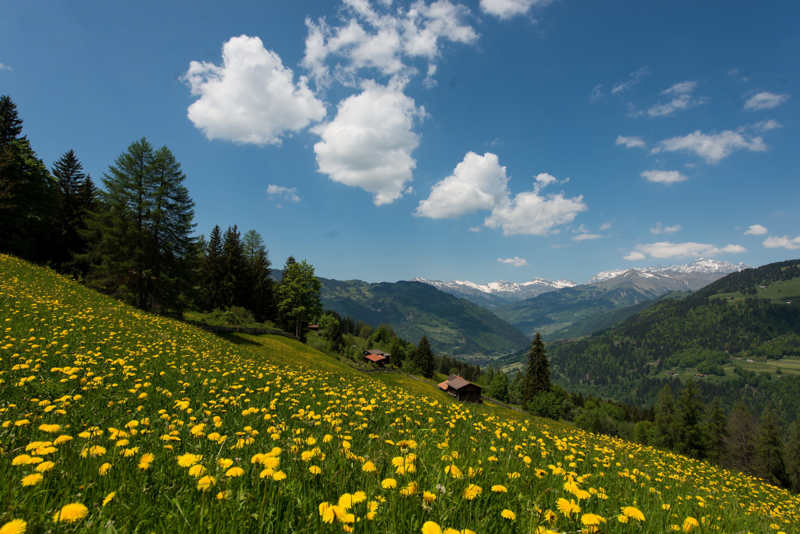 Heuberg Sommer