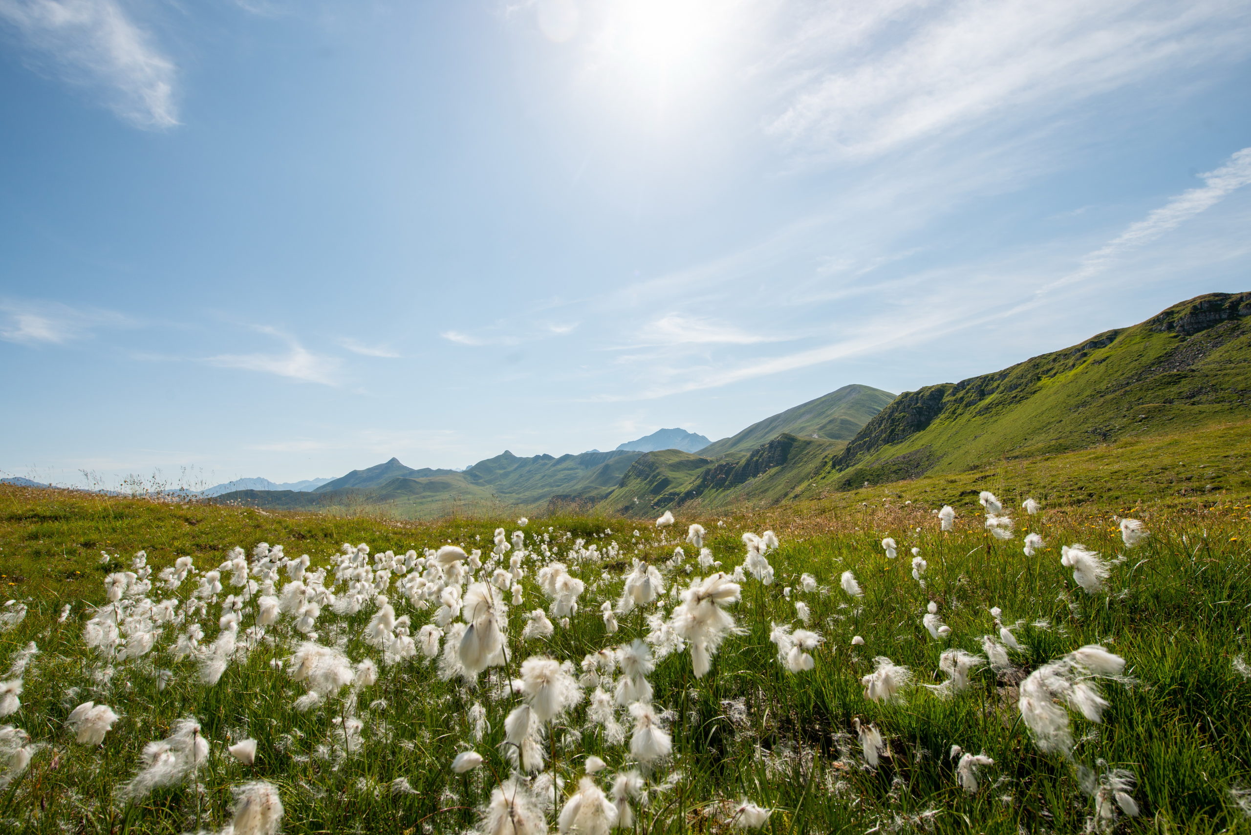 Heuberg Sommer