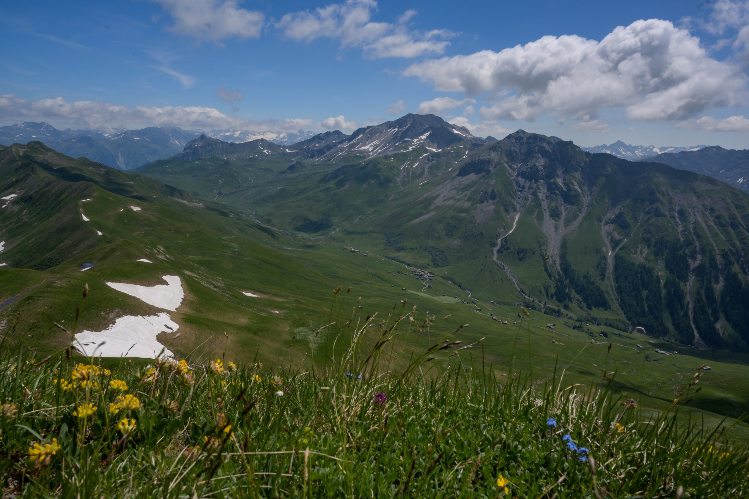 Heuberg Sommer